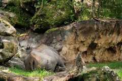 Afbeelding-van-WhatsApp-op-2025-08-01-om-18.46.20_1aa08562