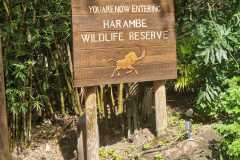 IMG-20250801-WA0010
