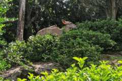 IMG-20250801-WA0011