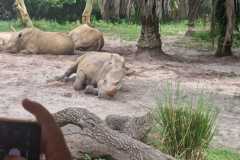 IMG-20250801-WA0016