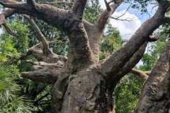 IMG-20250801-WA0035