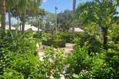 IMG-20250806-WA0005