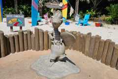 IMG-20250806-WA0011