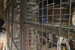 IMG-20250807-WA0031