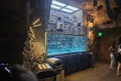 IMG-20250807-WA0033