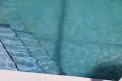 IMG-20250810-WA0003