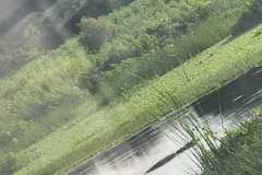 WhatsApp-Image-2026-08-09-at-14.20.33