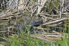 Afbeelding-van-WhatsApp-op-2025-08-10-om-17.27.33_5b90b68e