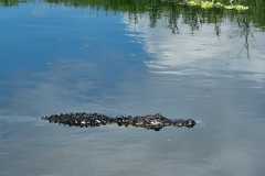 IMG-20250810-WA0013