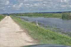 IMG-20250810-WA0019