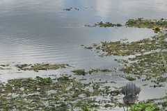IMG-20250810-WA0020