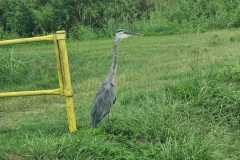IMG-20250810-WA0043