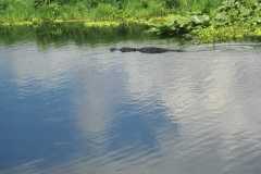 IMG-20250810-WA0044