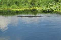 IMG-20250810-WA0045