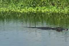 IMG-20250810-WA0051