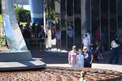 IMG-20250811-WA0013