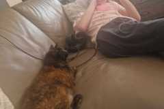 Afbeelding-van-WhatsApp-op-2025-08-12-om-13.18.26_1e4c5595