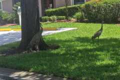 Afbeelding-van-WhatsApp-op-2025-08-12-om-13.19.00_e99f25b7