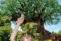 Afbeelding-van-WhatsApp-op-2025-08-14-om-08.22.06_cc9d0fb4