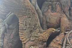 IMG-20250813-WA0013