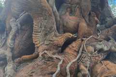 IMG-20250813-WA0014