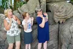 IMG-20250813-WA0047