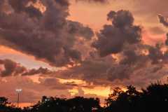 Afbeelding-van-WhatsApp-op-2025-08-14-om-20.41.39_e7bc1c2e