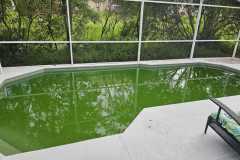 IMG-20250816-WA0011