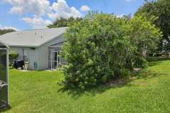 IMG-20250728-WA0009