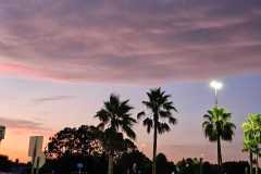 Afbeelding-van-WhatsApp-op-2025-07-31-om-20.50.16_47ddafc2